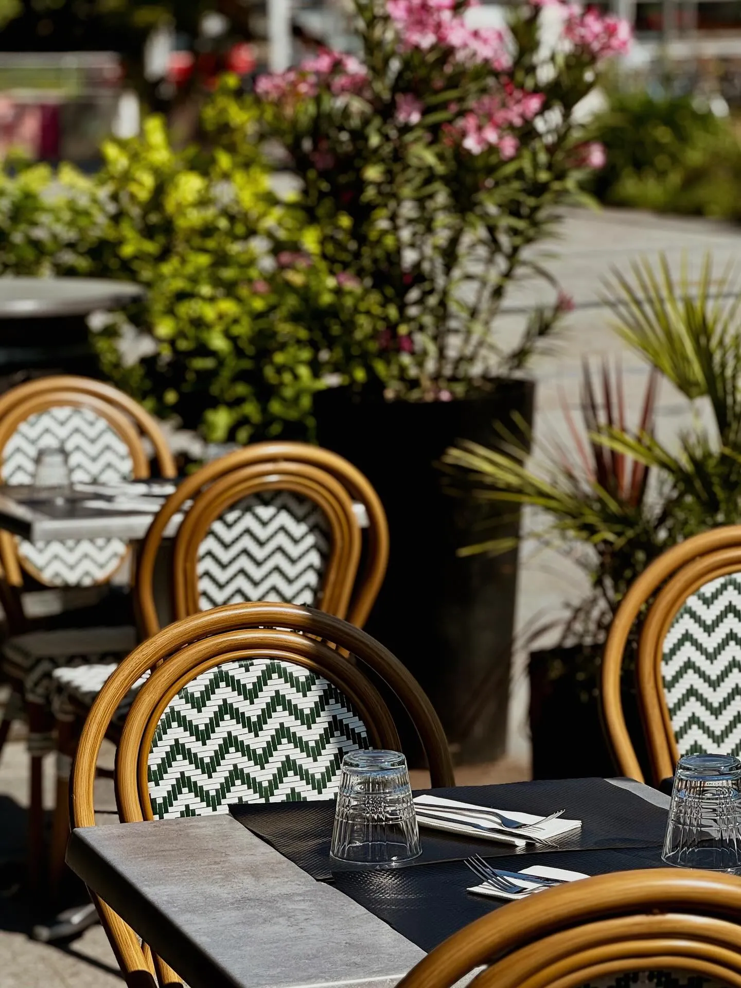 Terrasse du Bistrot avec chaises rotin chevron et lauriers roses